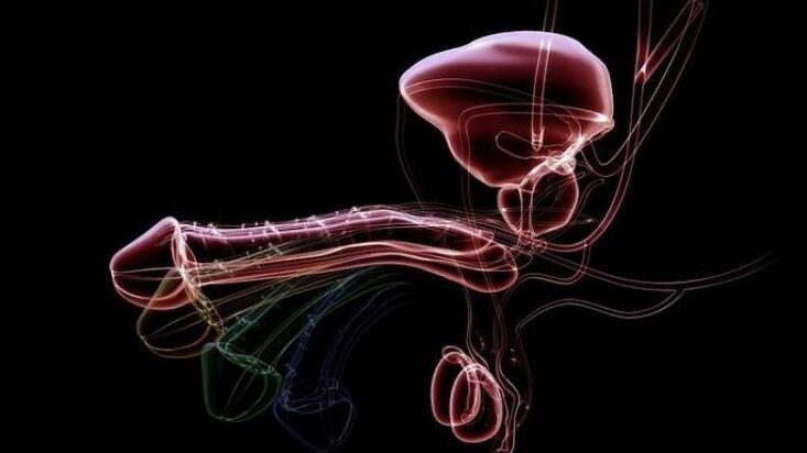 Why do men ejaculate when they are excited, and this is normal